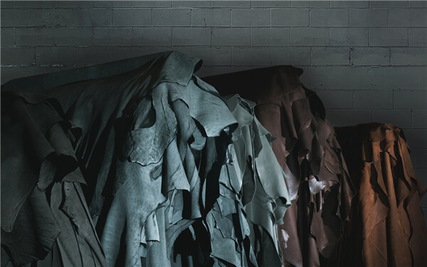 Baxter.jpg Baxter.jpg