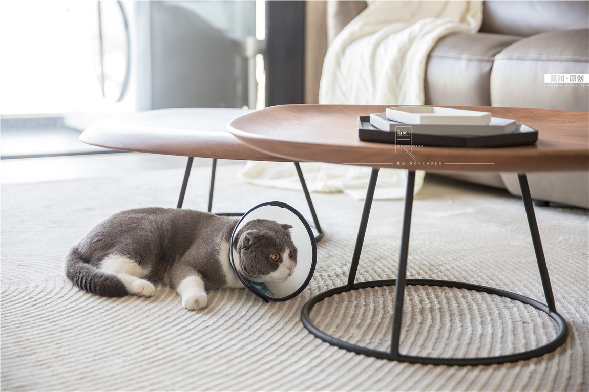 1 (74).jpg 1 (74).jpg