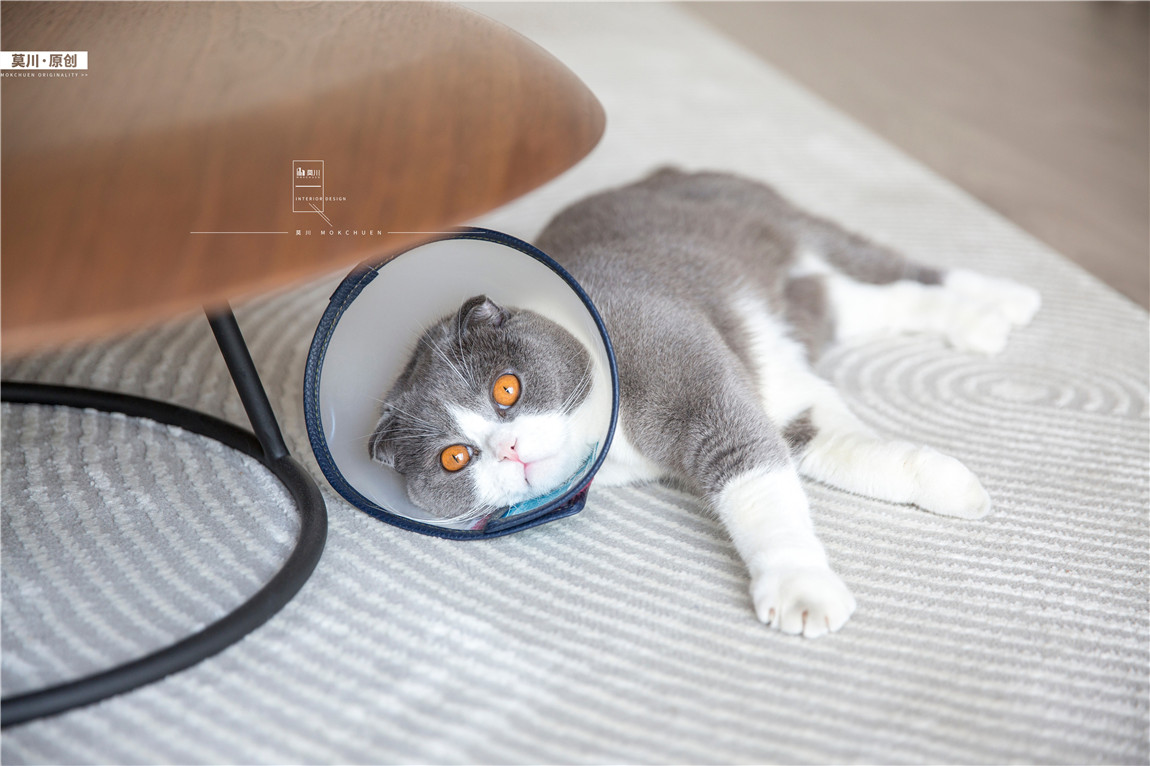 1 (78).jpg 1 (78).jpg