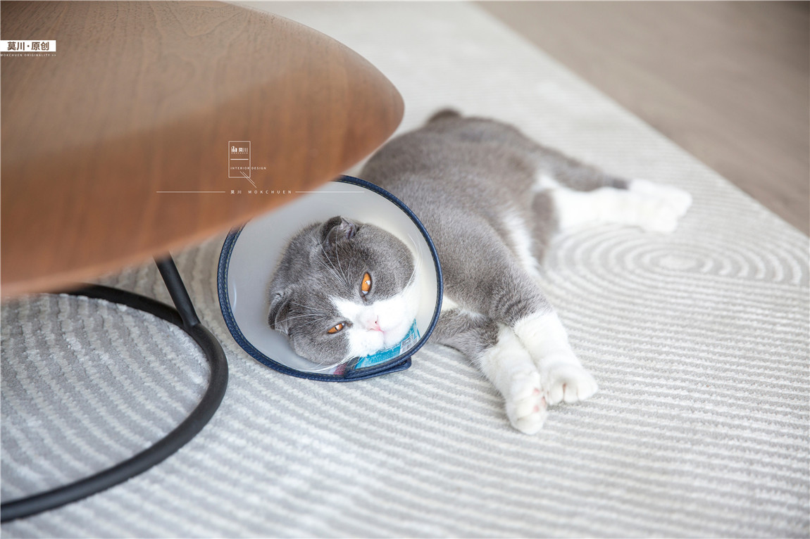 1 (80).jpg 1 (80).jpg