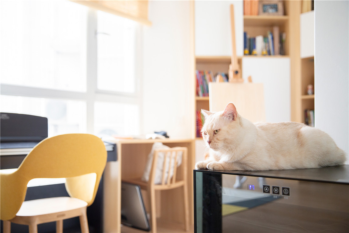 _Q5A0782_看圖王.jpg _Q5A0782_看圖王.jpg