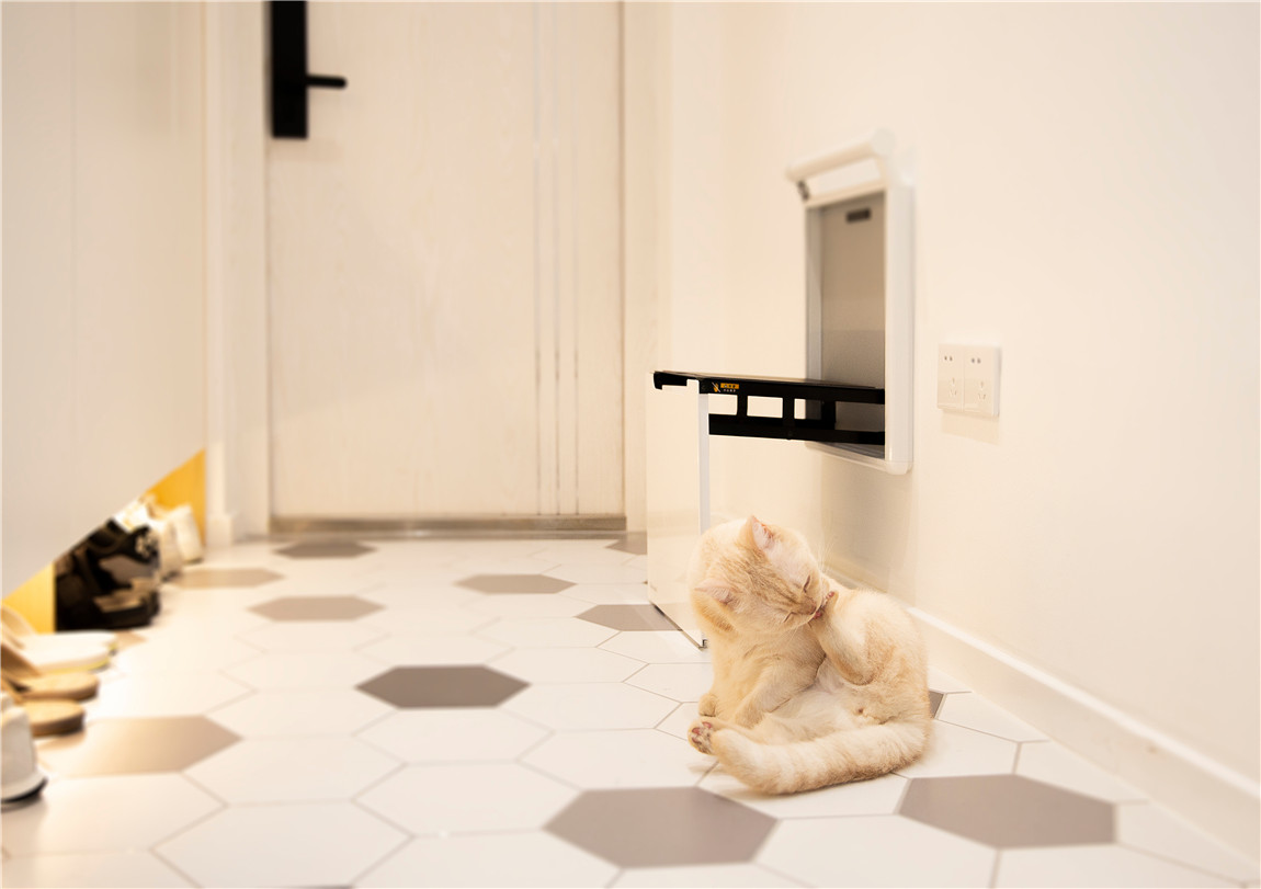 _Q5A0783_看圖王.jpg _Q5A0783_看圖王.jpg