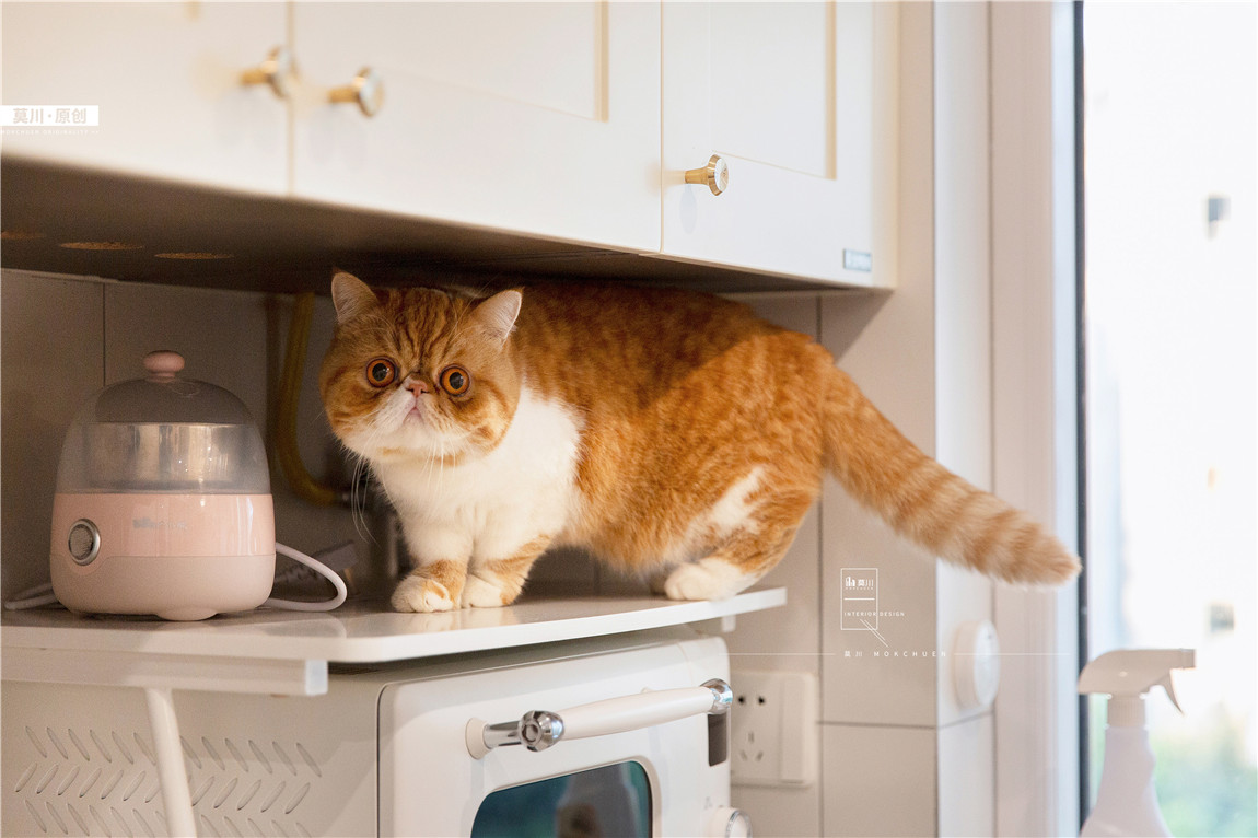 1 (64).JPG 1 (64).JPG