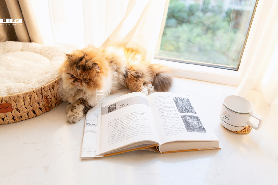 1 (69).JPG 1 (69).JPG