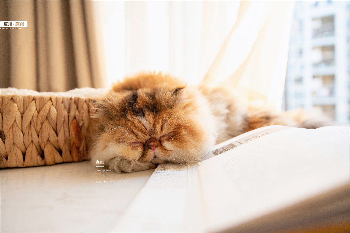 1 (71).JPG 1 (71).JPG