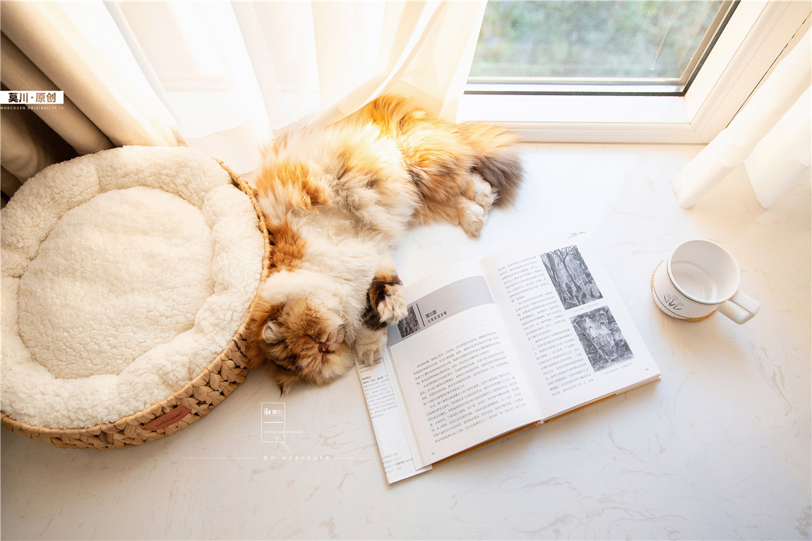 1 (72).JPG 1 (72).JPG