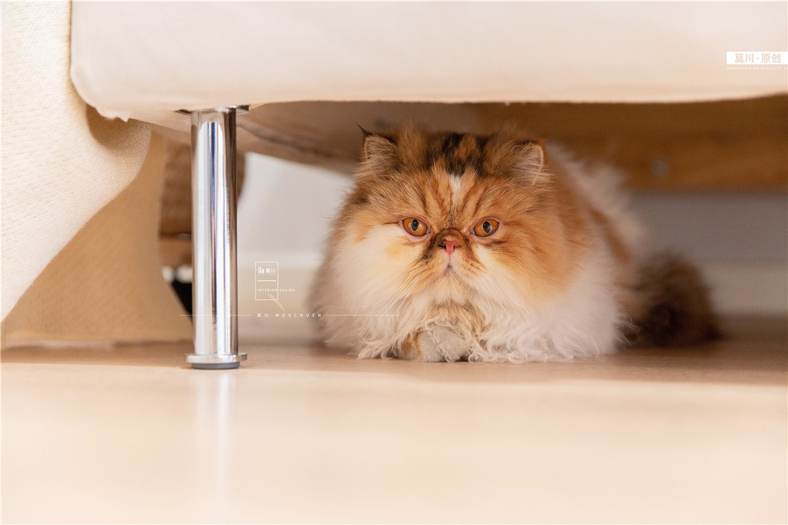 1 (63).JPG 1 (63).JPG