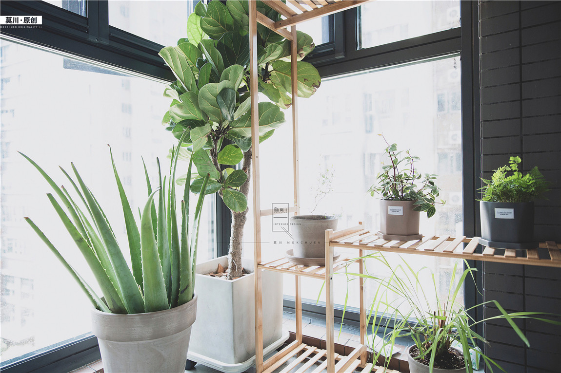 1 (38).jpg 1 (38).jpg