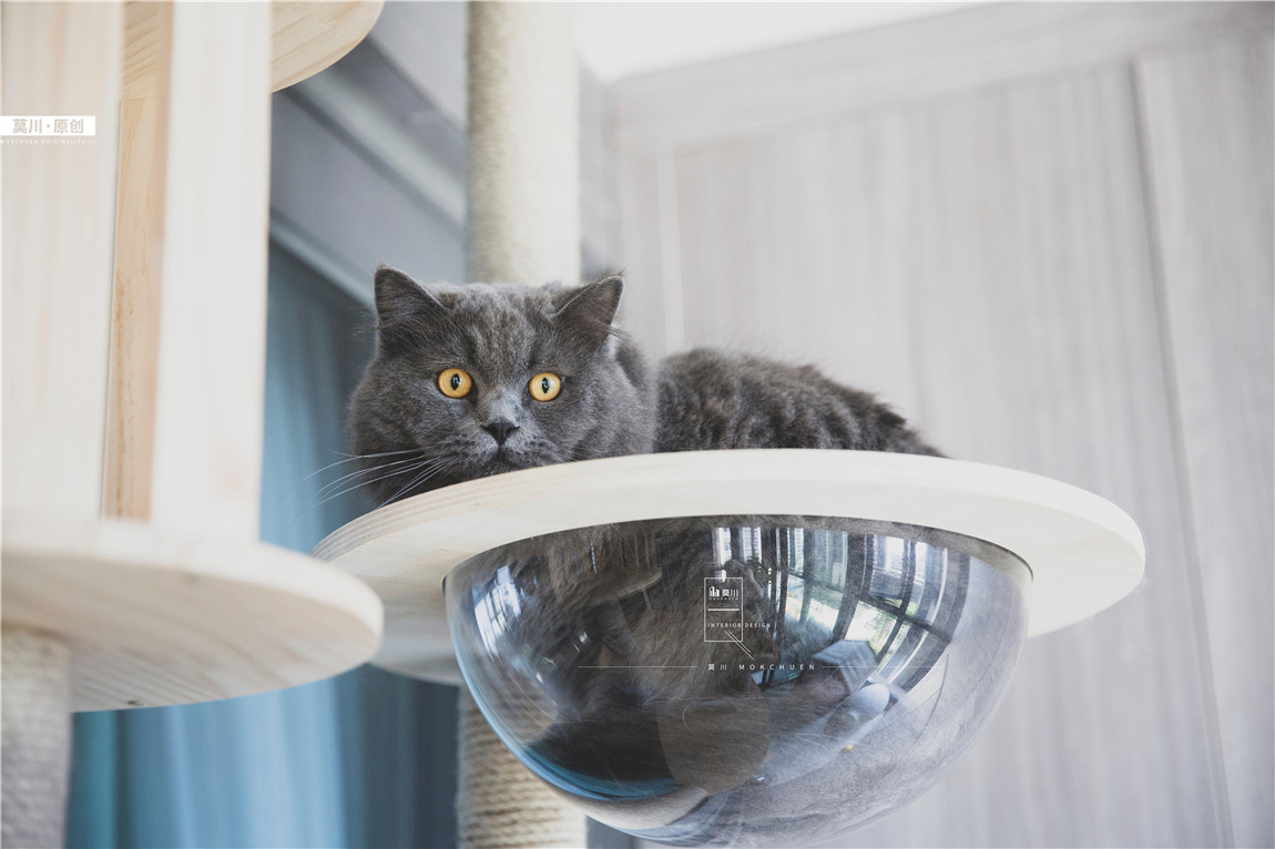 1 (37).jpg 1 (37).jpg