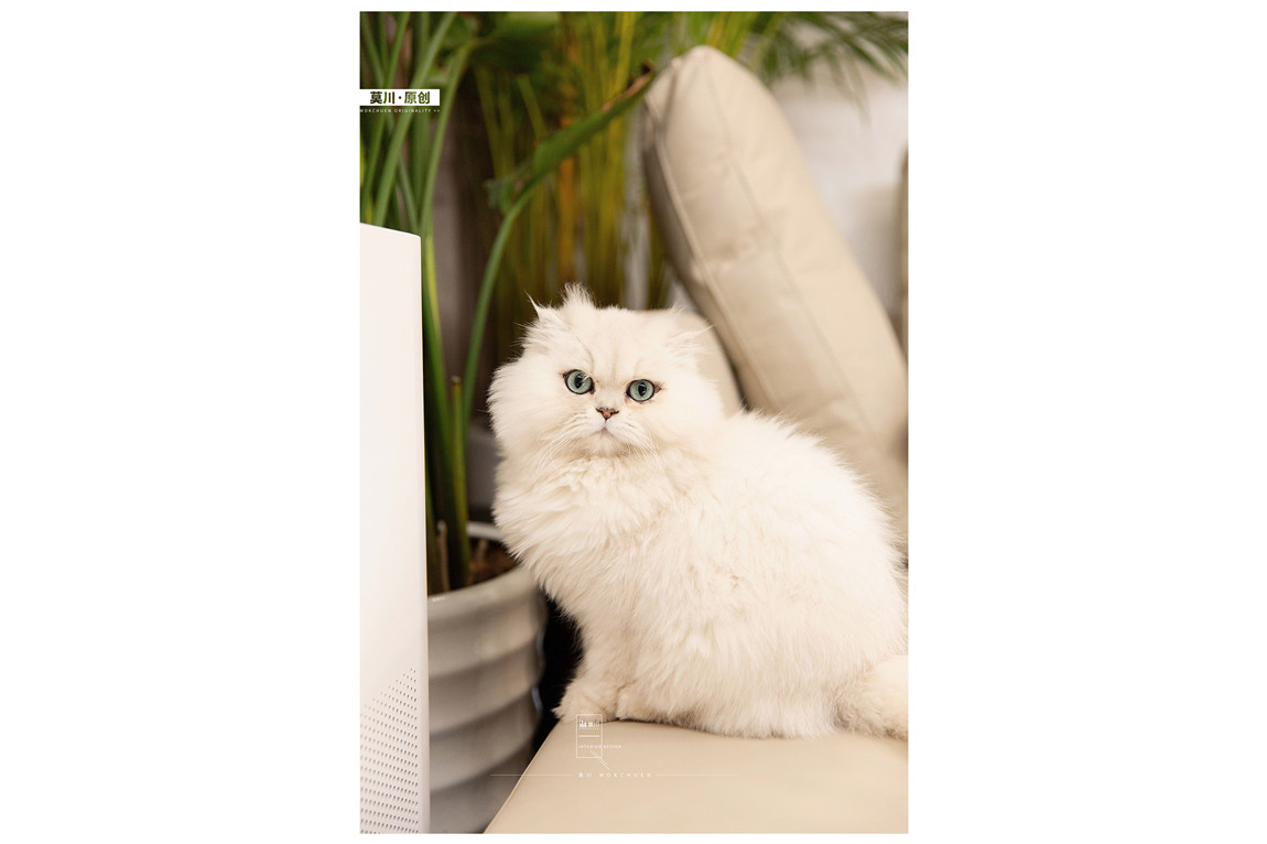 1 (55).JPG 1 (55).JPG